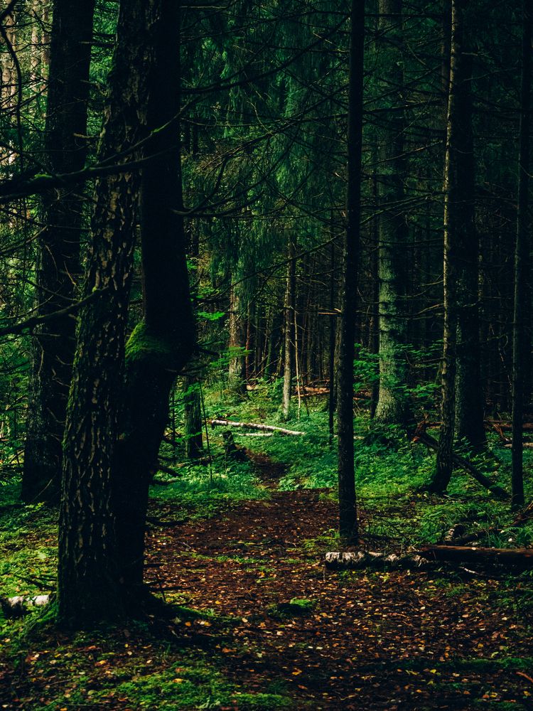 Photograph by Борис Челышев