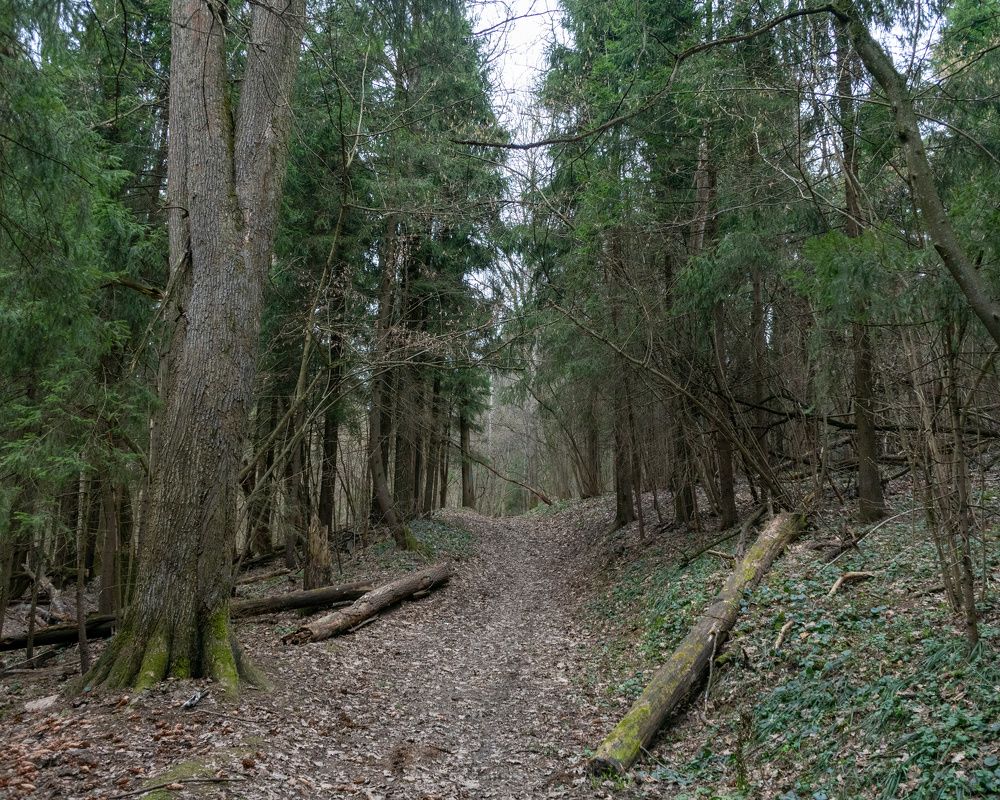 Photograph by Валерий Петухов