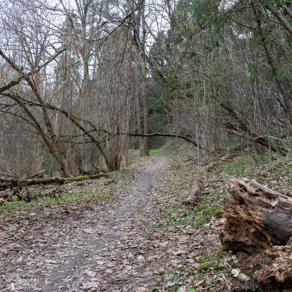 Photograph by Валерий Петухов