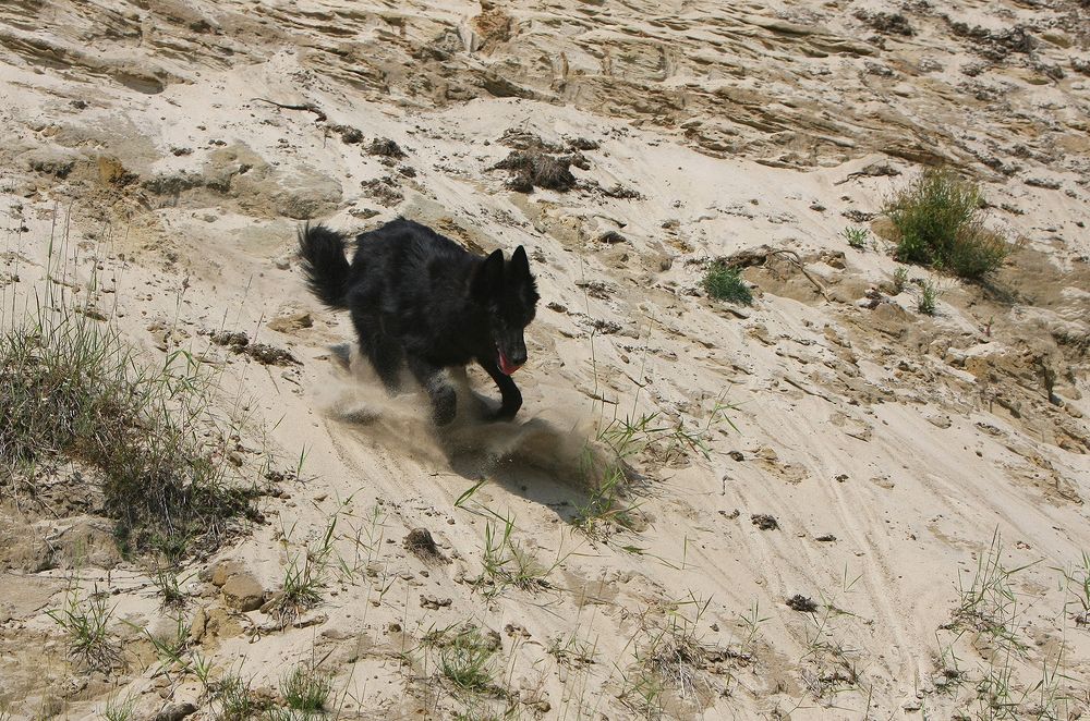 Фотография автора Надежда Лисицына