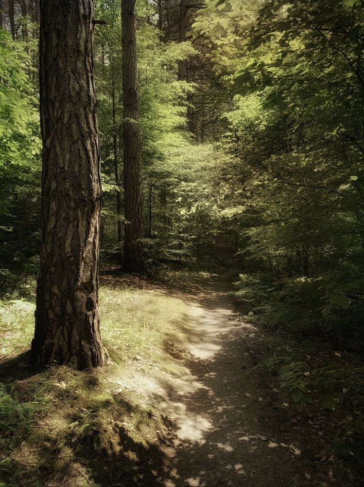 Photograph by Татьяна Семёнова