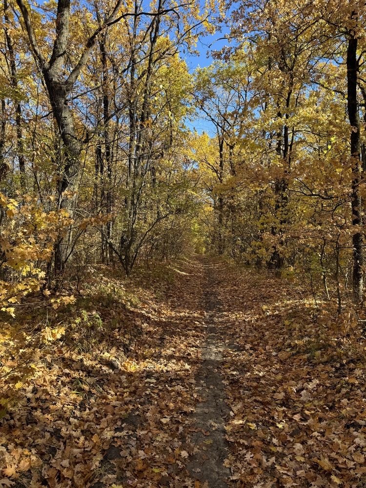 Фотография автора Виктория Зеленкова