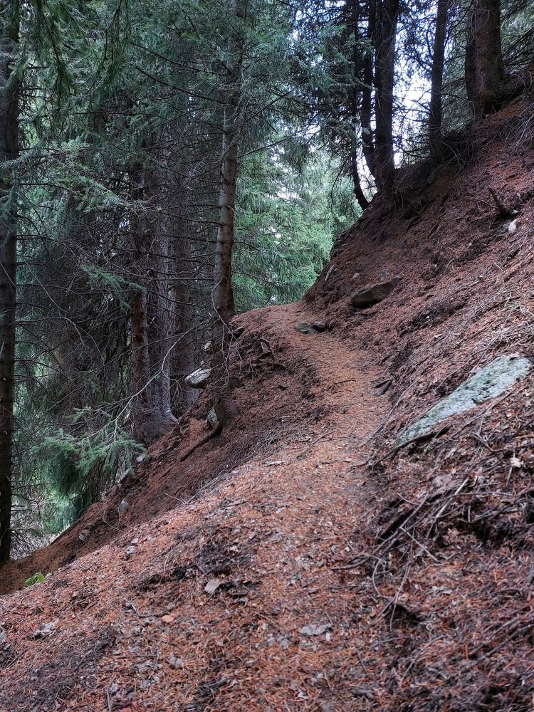 Photograph by Анна Чичилова