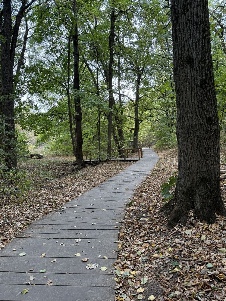 Фотография автора Виктория Зеленкова