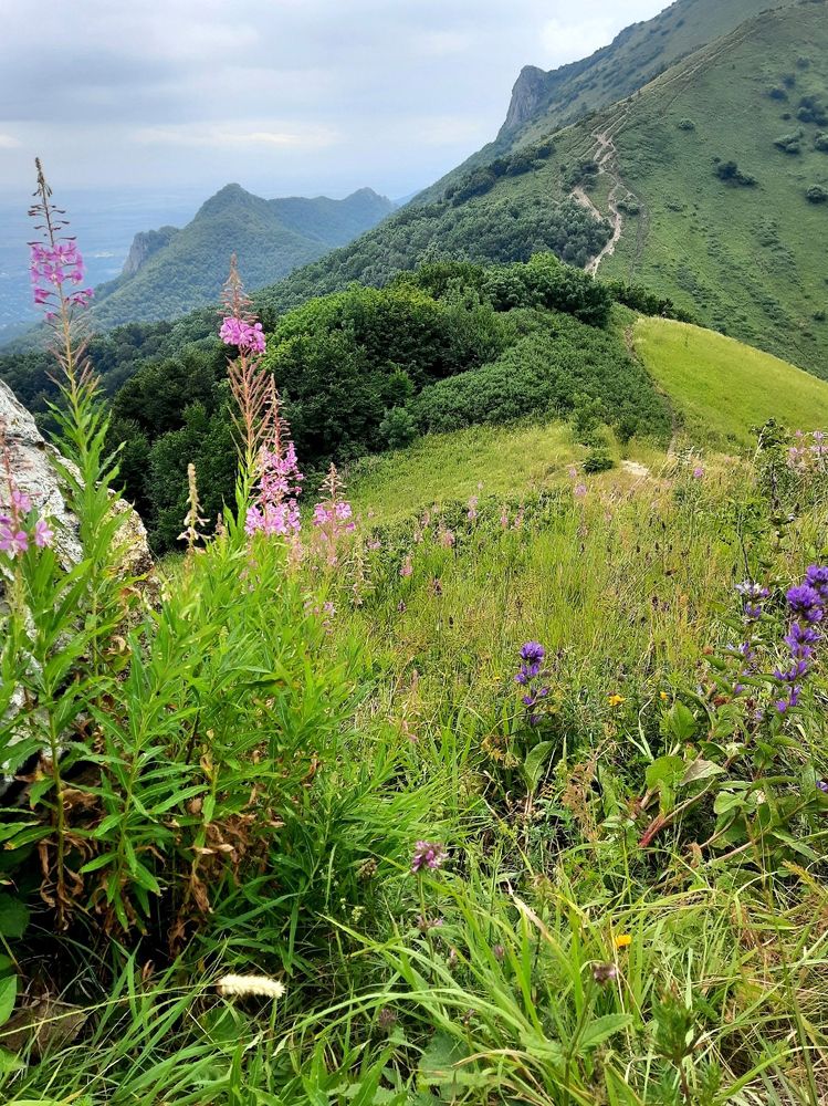 Photograph by Марина Филатова