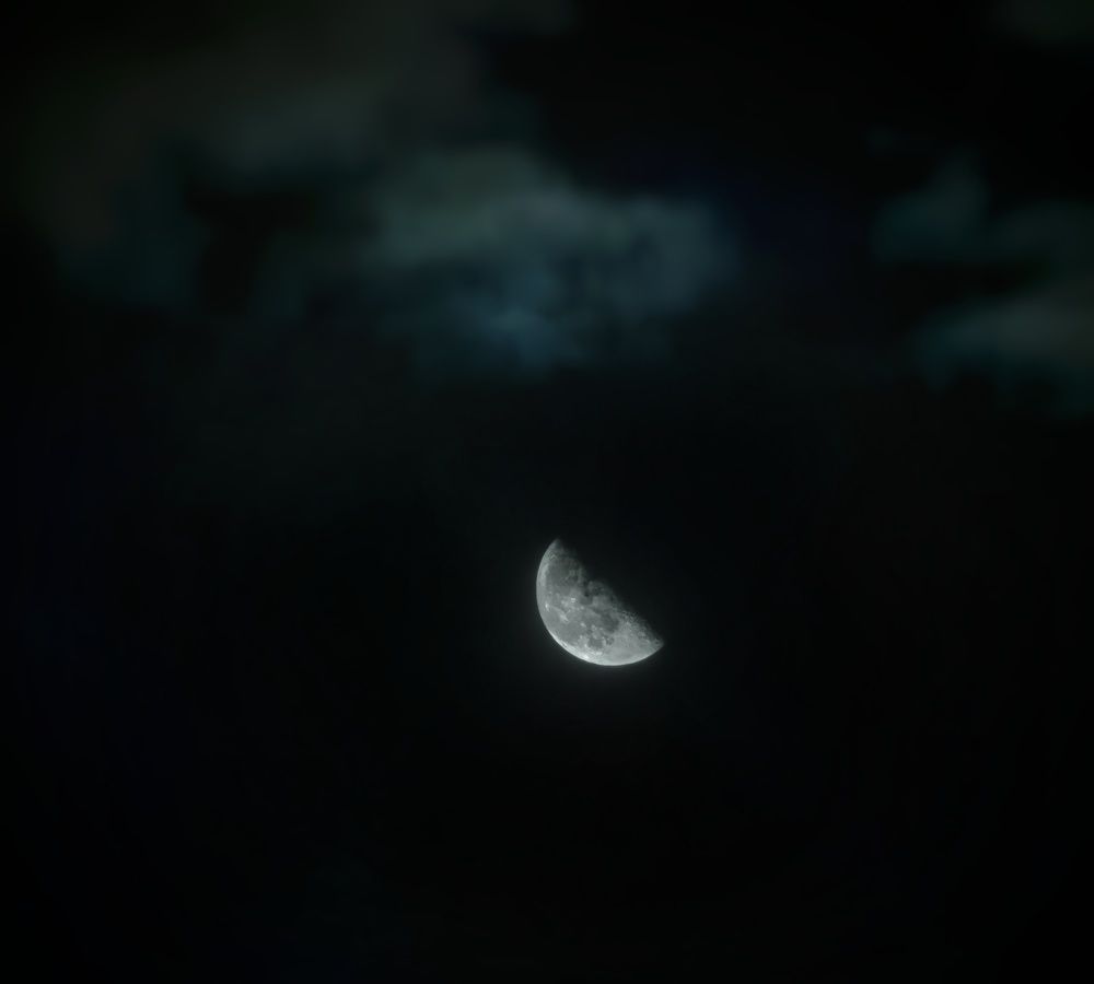 Photograph by Ярославна