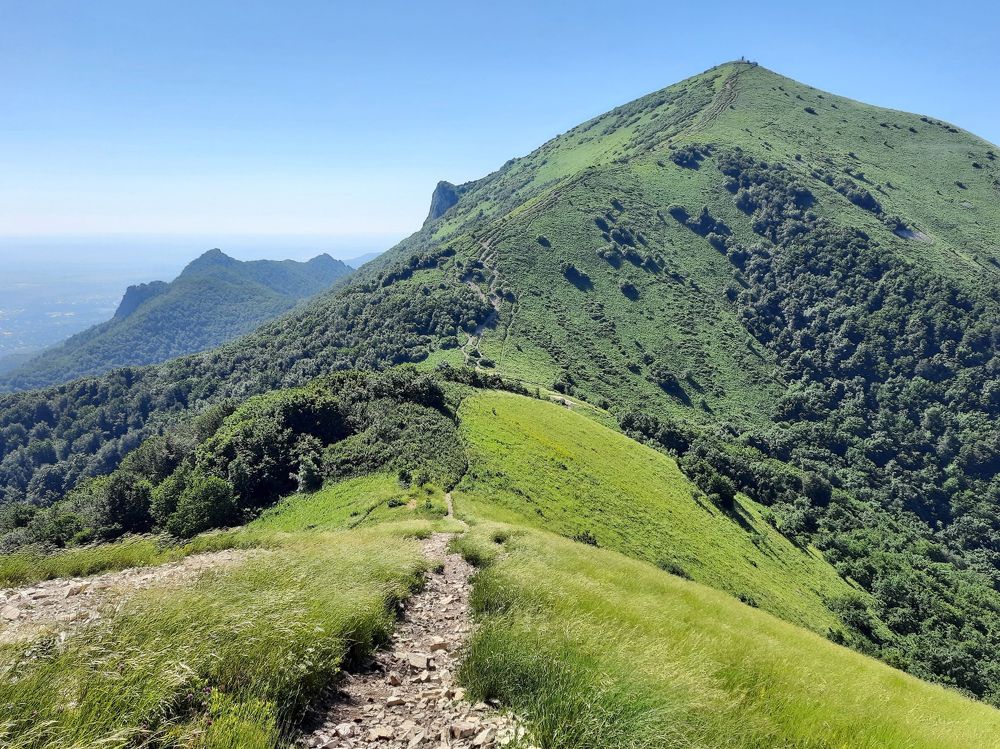 Photograph by Марина Филатова