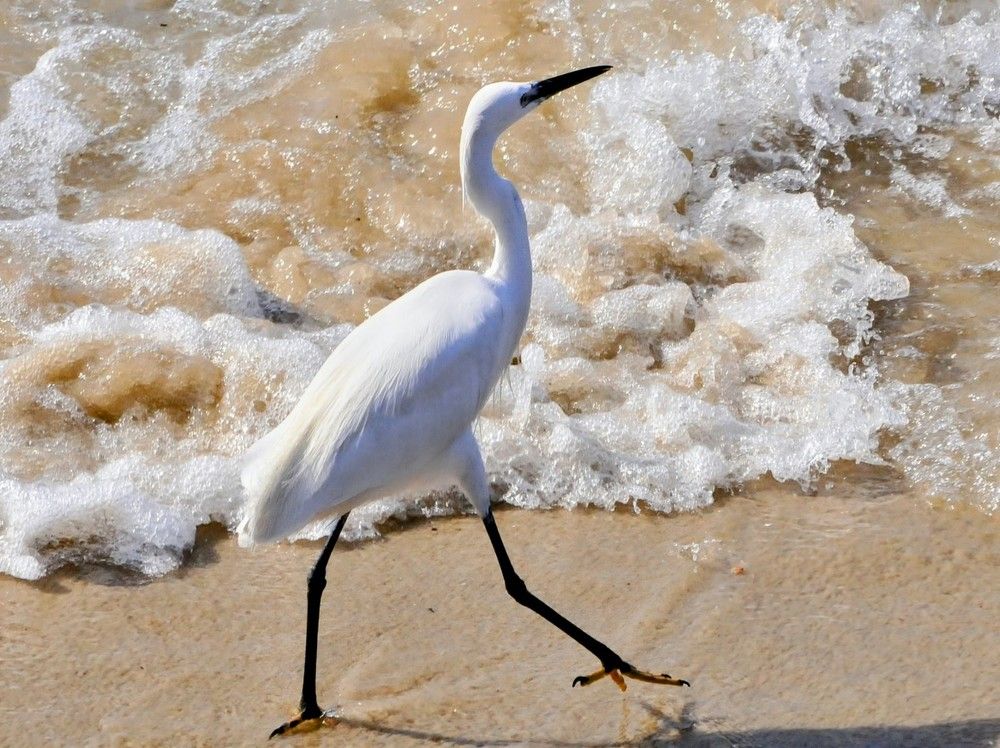 Photograph by Владислав Айзенберг