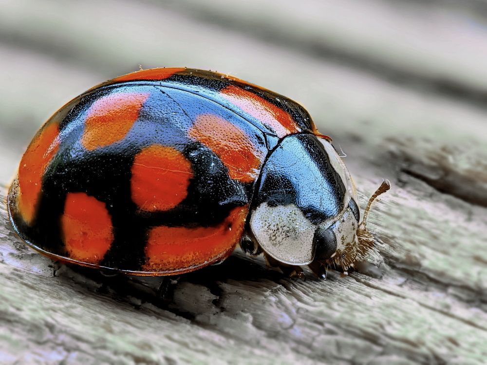 Photograph by Кузнецов Дмитрий