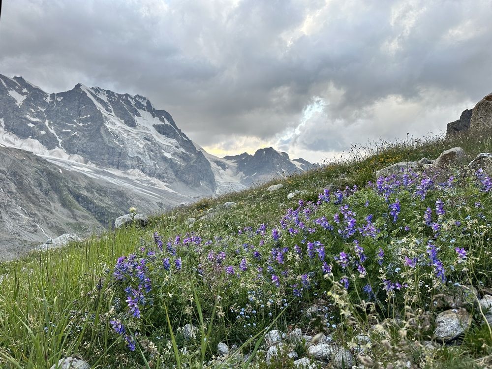 Photograph by Екатерина Карвасарская