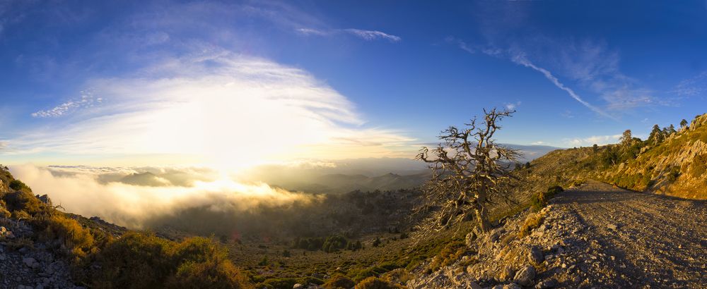 Photograph by JOSE ANTONIO Barroso Sanchez