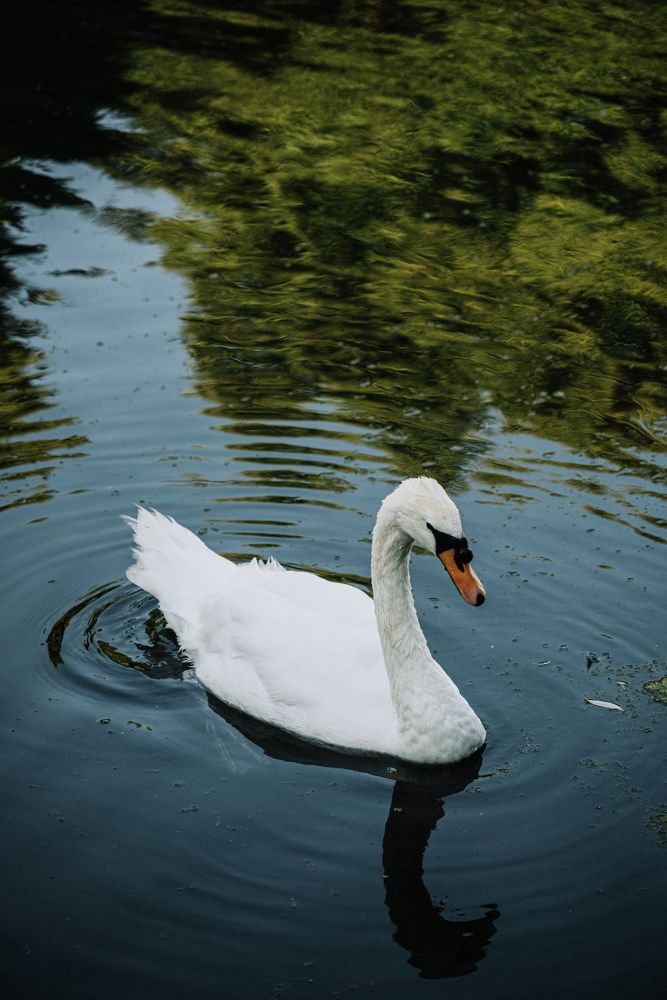 Photograph by Anna Vlasova