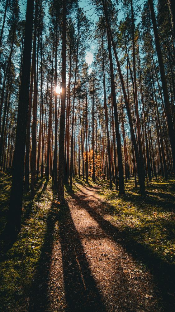 Photograph by Татьяна Галаева