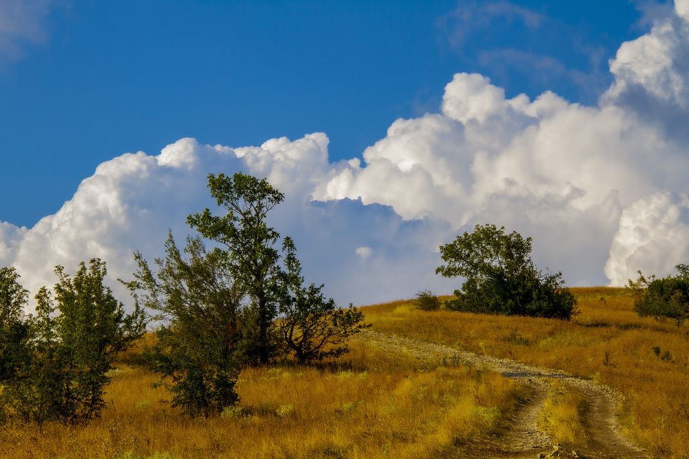 Photograph by Дмитрий Селицкий