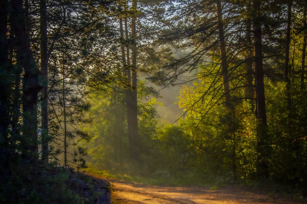 Photograph by Дмитрий Селицкий