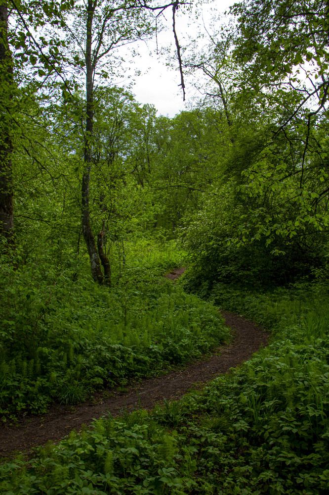 Photograph by Дмитрий Селицкий