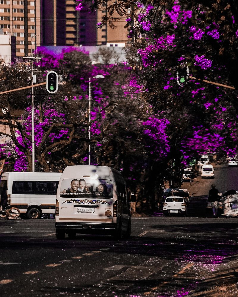 Chasing Jacarandas: Pretoria