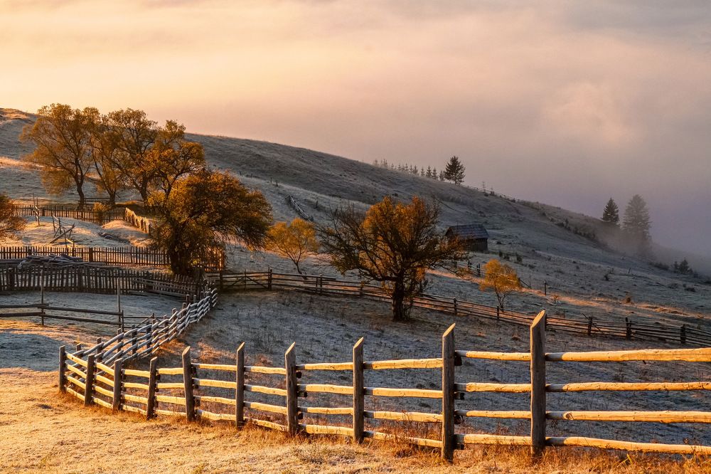 Photograph by Cristina Loghin