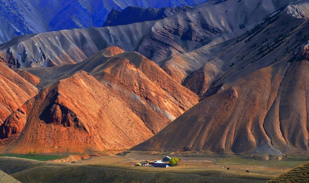 Photograph by PERESHEIN ANDREY