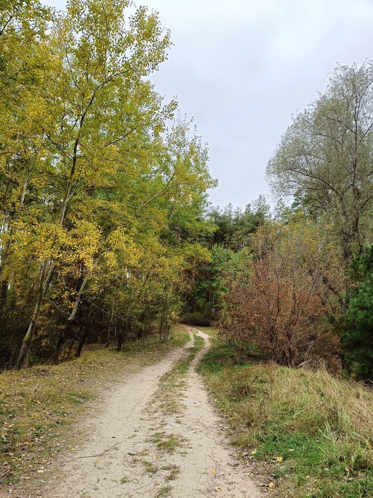 Photograph by Карина Слабкая