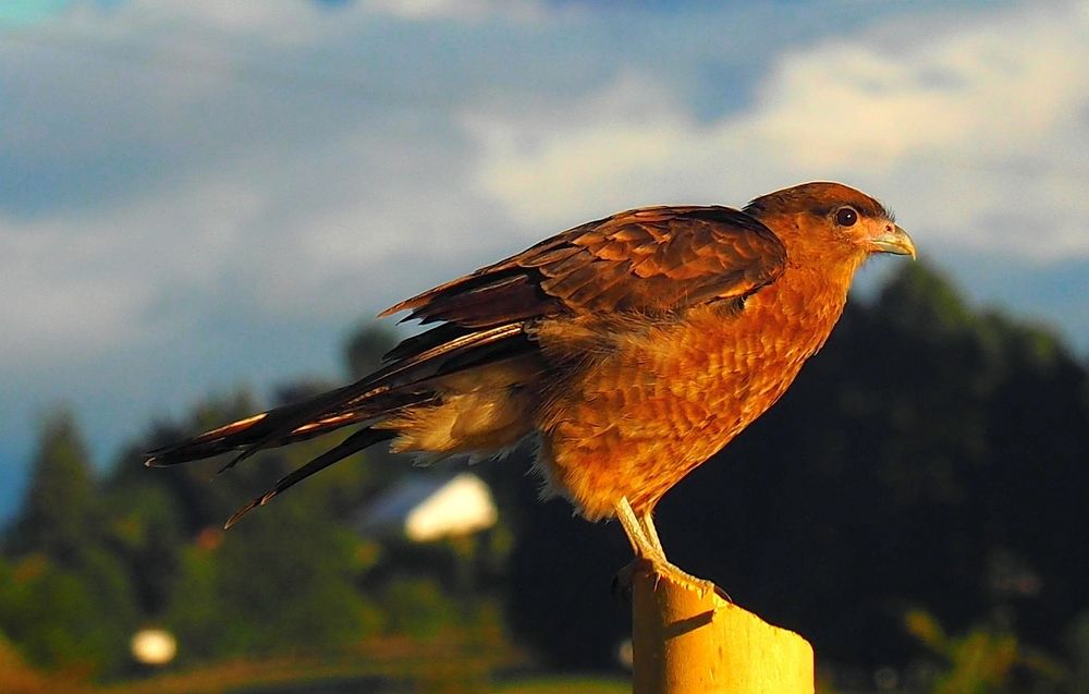 Photograph by PERESHEIN ANDREY