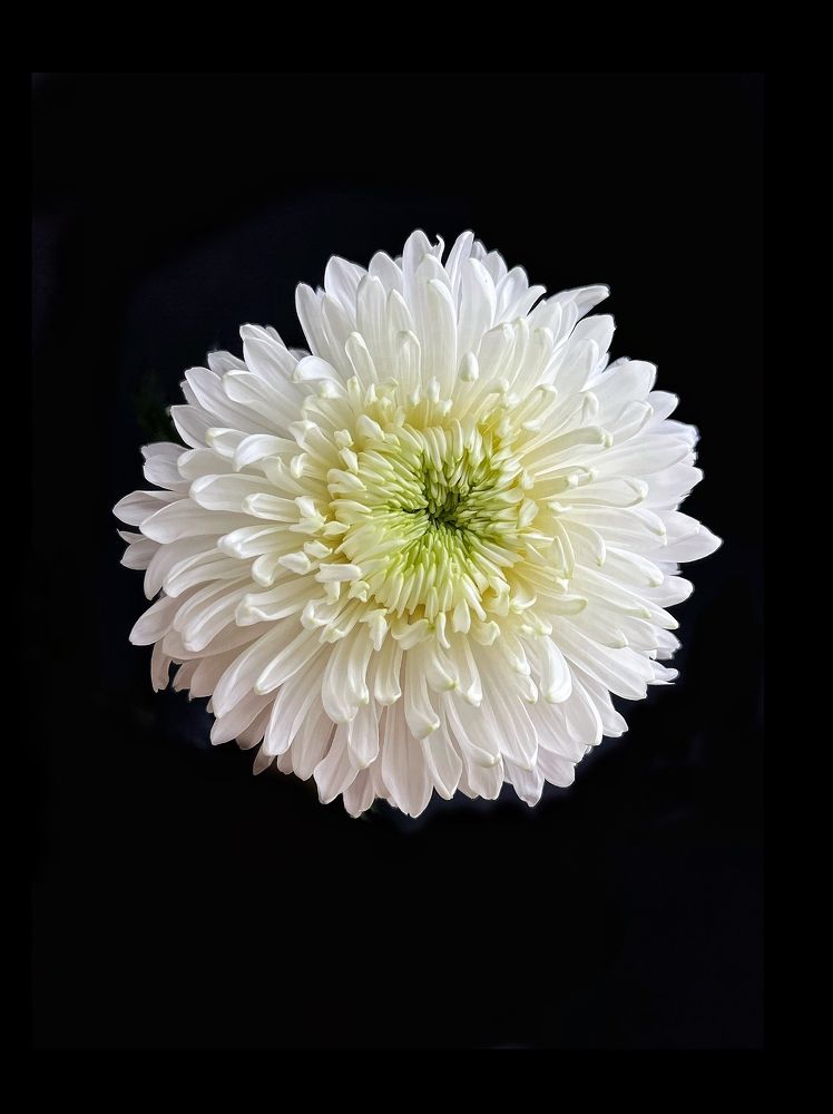 Фотография автора Юлия Хрумалова