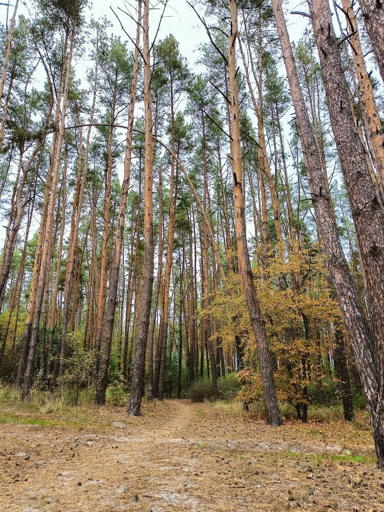 Photograph by Карина Слабкая