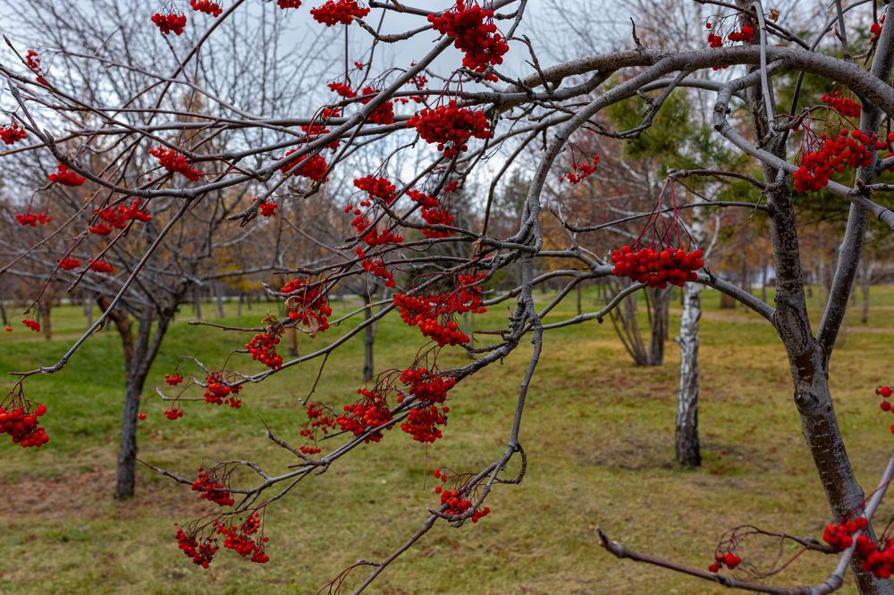 Photograph by Вячеслав Анатольевич
