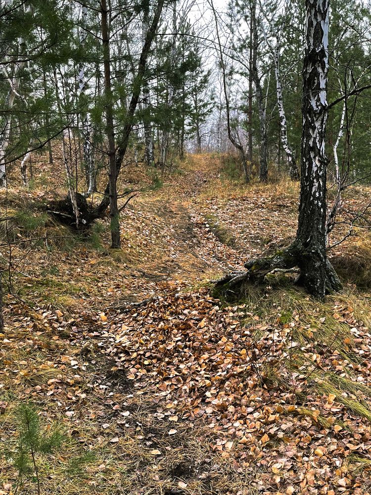 Photograph by Nadezda Yablokova