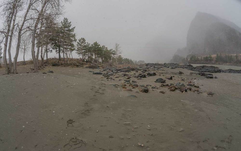 Photograph by Владимир Зубов