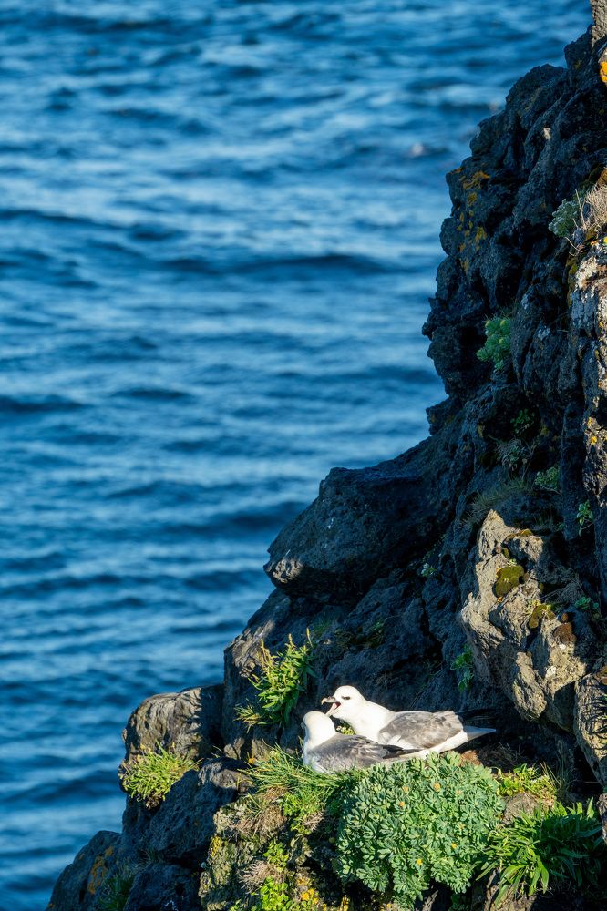 Фотография автора Ирина Зайцева