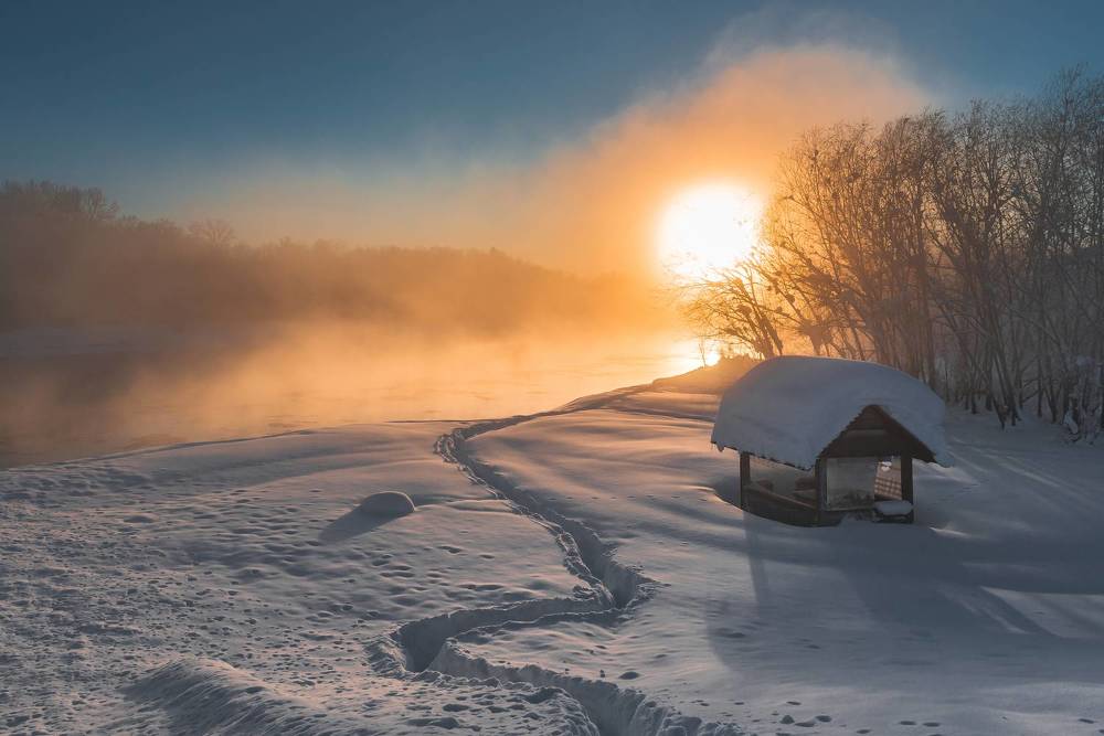 Photograph by Евгений Житников