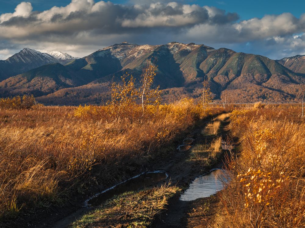 Photograph by Евгений Житников