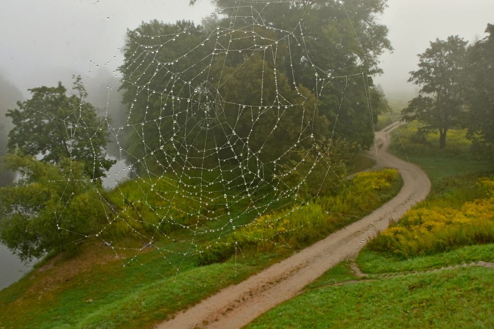 Photograph by Ирина Алексеева