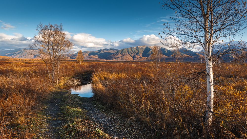 Photograph by Евгений Житников