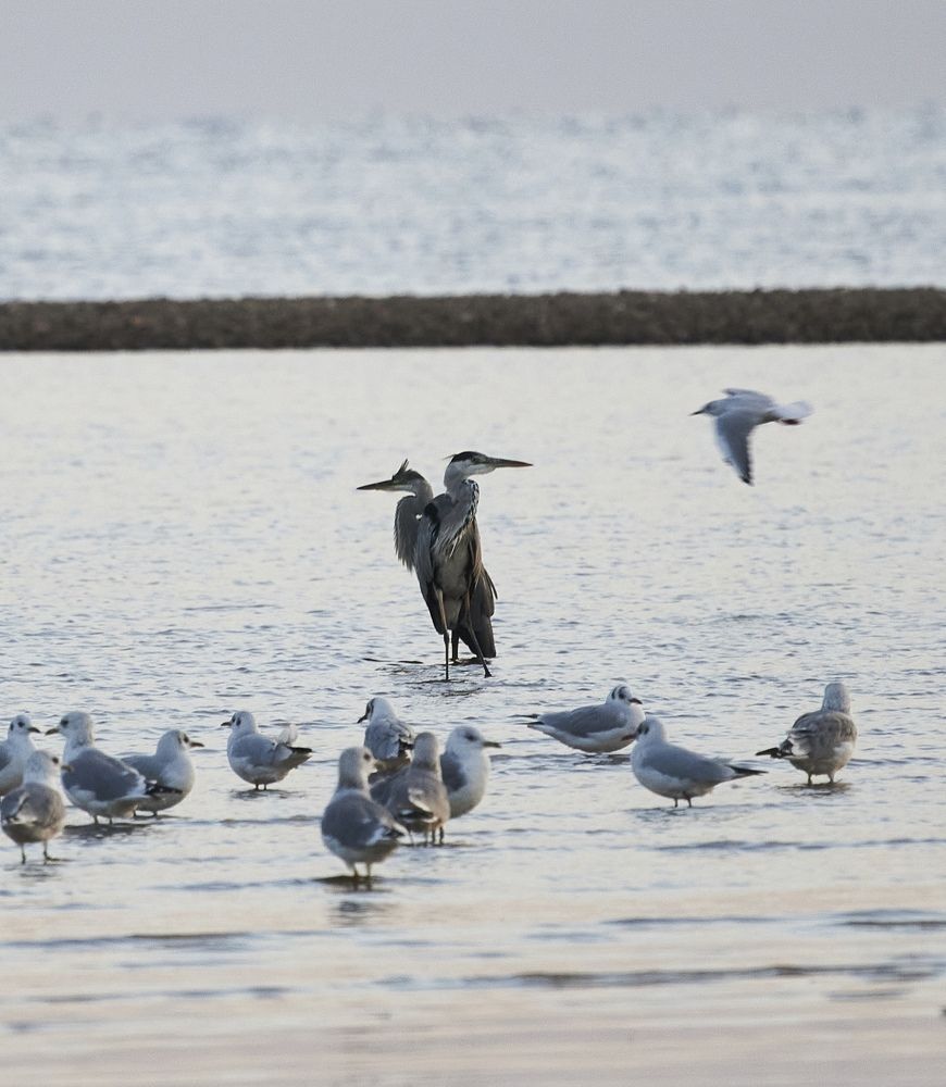 Photograph by Ольга Левакова