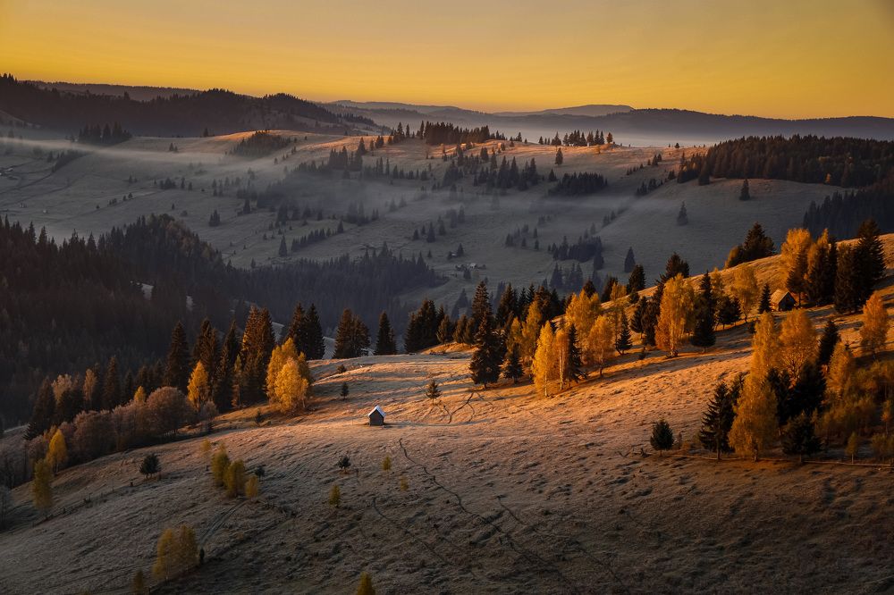 Photograph by Cristina Loghin