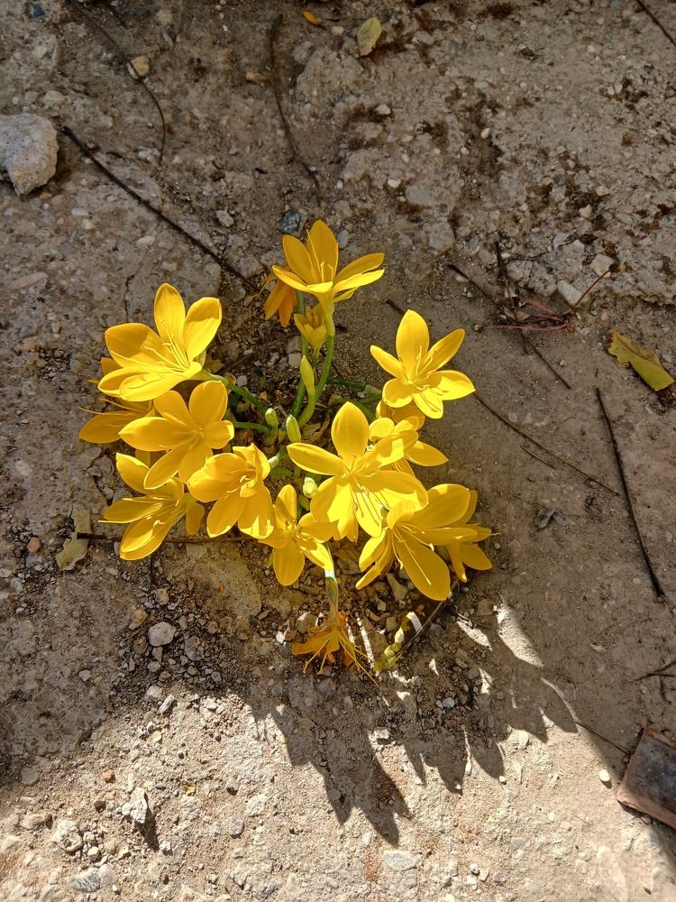 Photograph by Mehmet borak