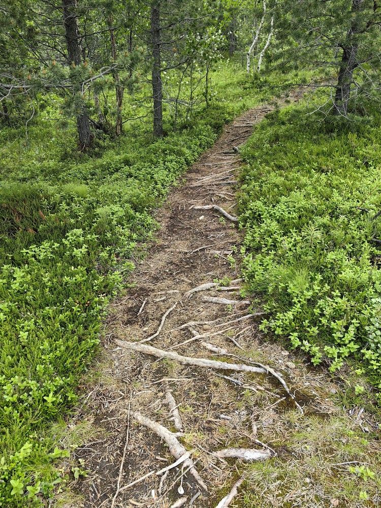 Фотография автора Sparc-jr