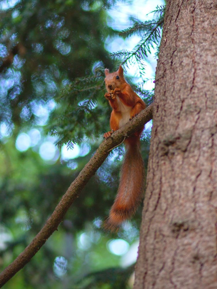 Photograph by Ольга Захарова
