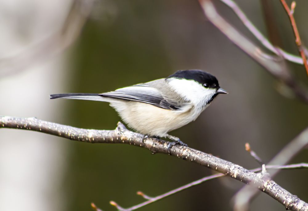 Photograph by Юлиана Иванова