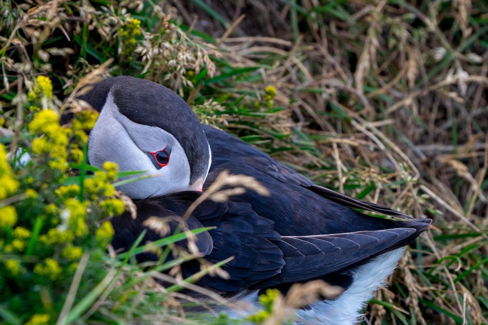 Фотография автора Ирина Зайцева