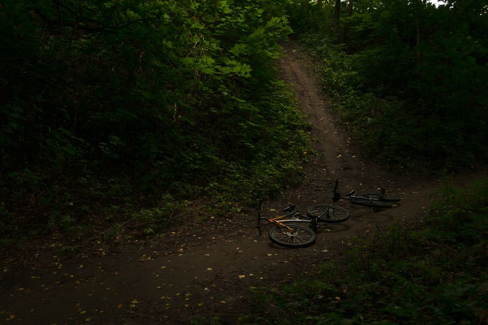 Photograph by Светлана Зайкова