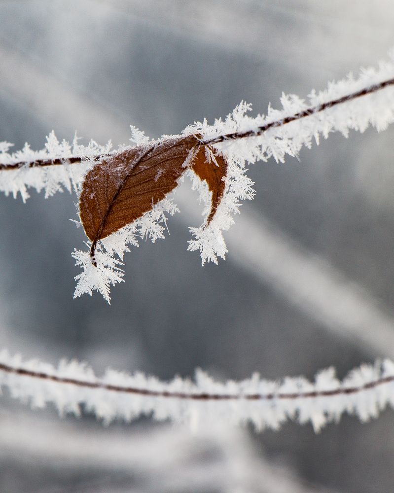 Photograph by Мария Корнилова