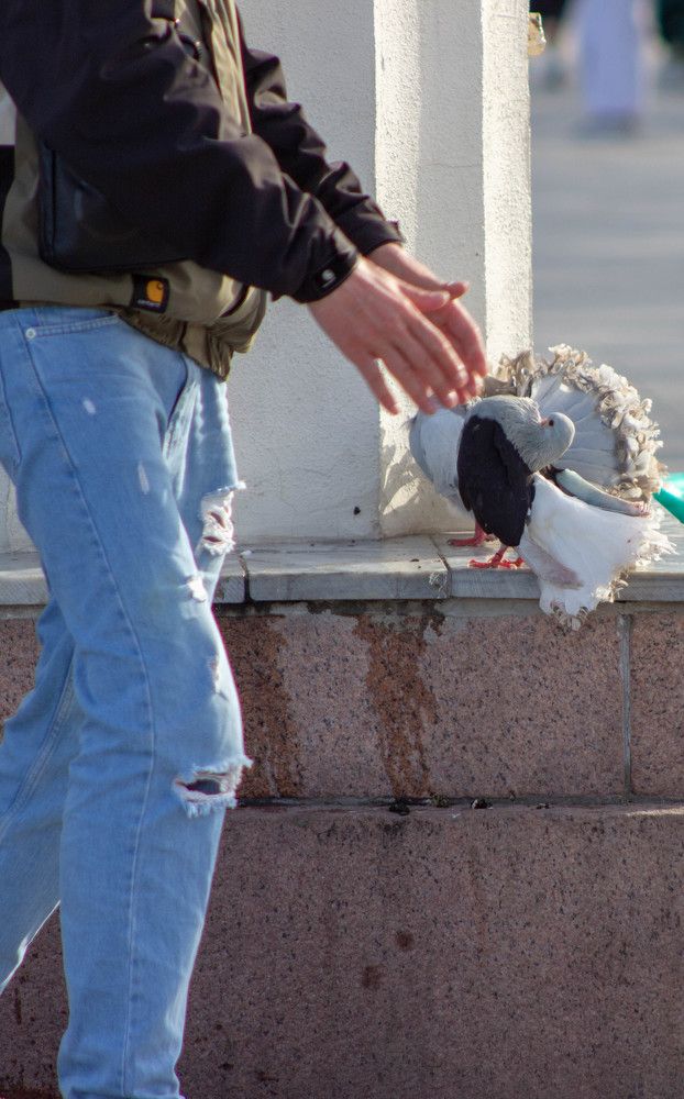 Photograph by Ольга Захарова