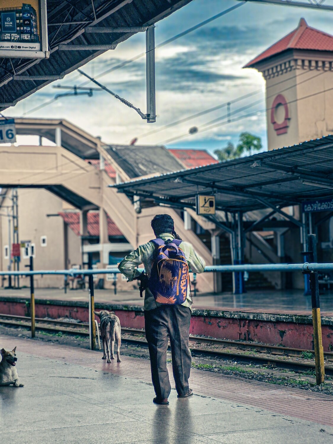 Photo #11250951