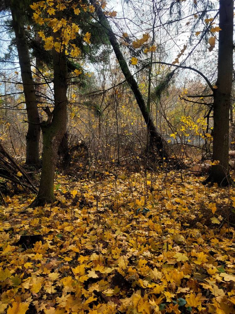 Photograph by Алексей Горин