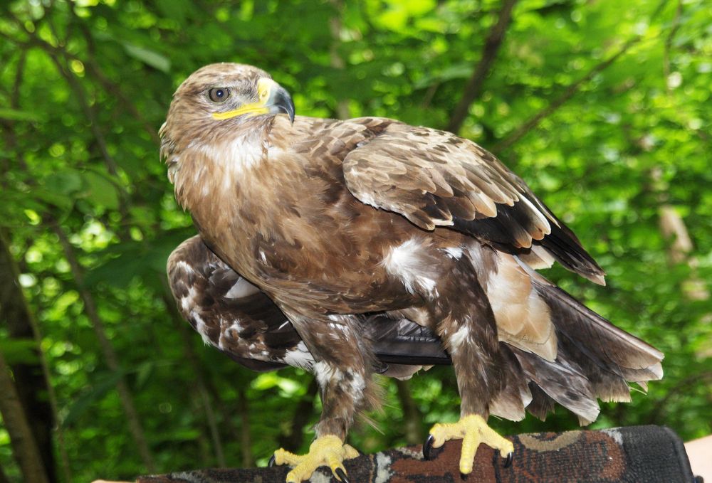 Photograph by Роман Приходько