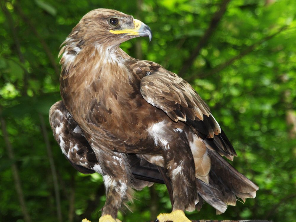 Photograph by Роман Приходько