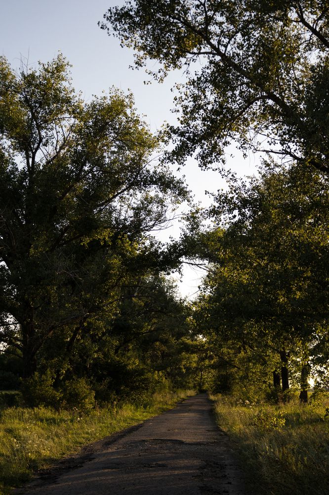 Photograph by Татьяна Макарова